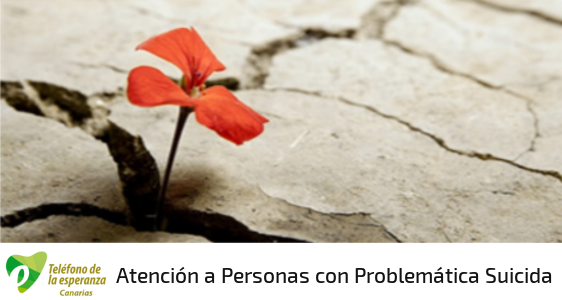 “Cómo atender a personas con problemática suicida”. Tema de formación permanente en marzo.